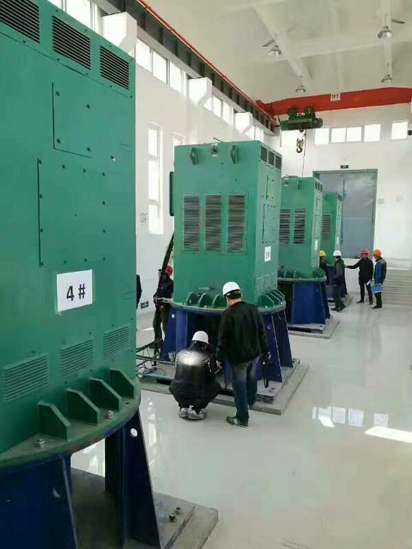 安岳某污水处理厂使用我厂的立式高压电机安装现场