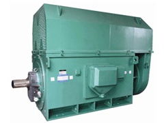 安岳Y系列6KV高压电机